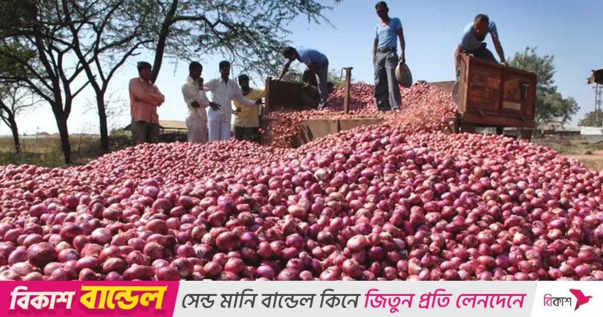 আমদানির খবরে কমলো পেঁয়াজের দাম