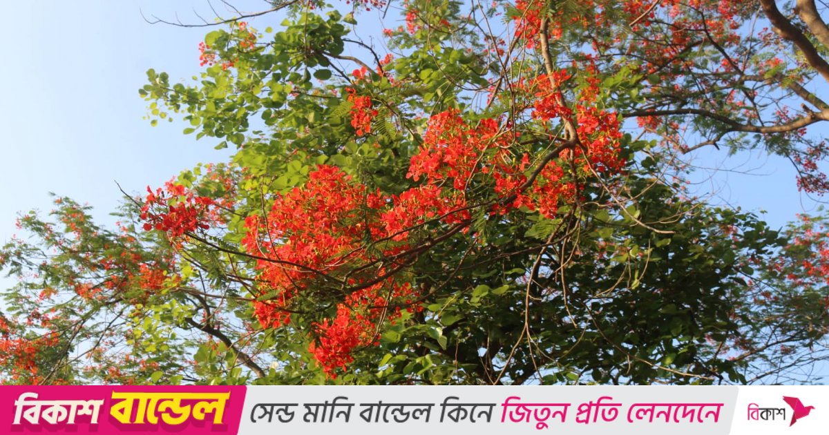 Dumba vilkasi fotosurati yigit uning ogziga cums