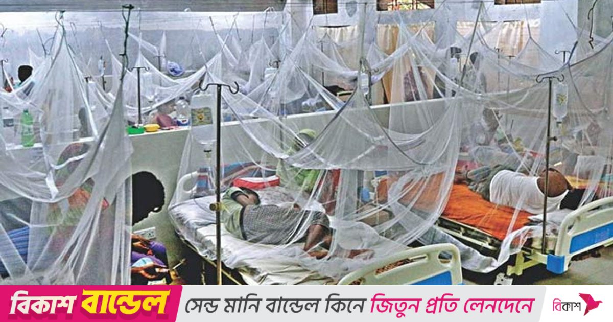 ডেঙ্গুতে আক্রান্ত হয়ে হাসপাতালে ভর্তি ৪১০