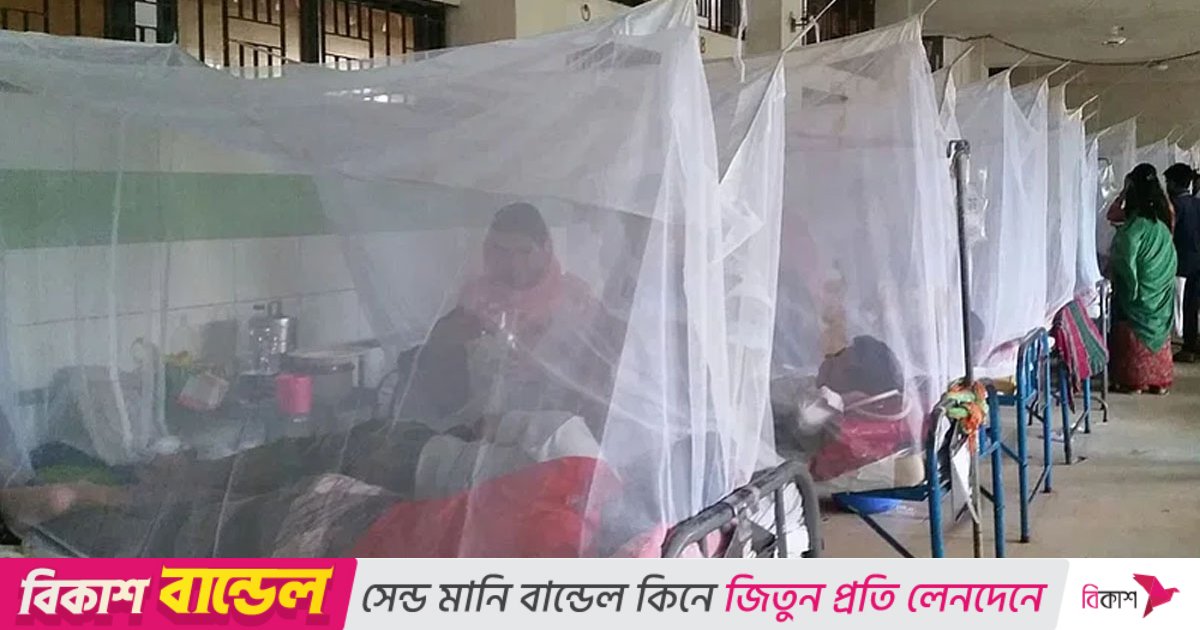 ডেঙ্গুতে সাতজনের মৃত্যু, হাসপাতালে ভর্তি ৫৬৭