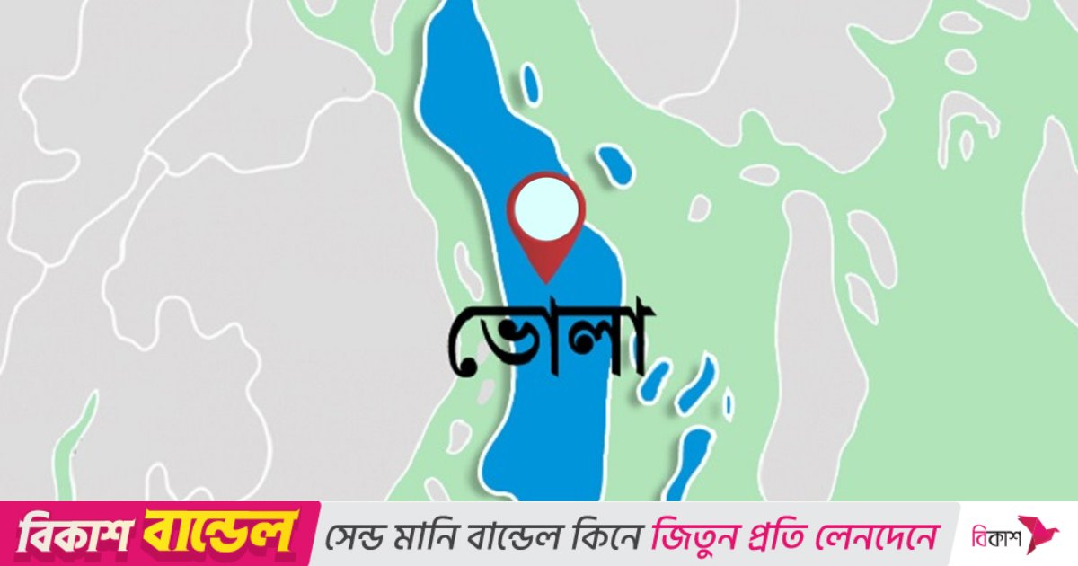 ভোলায় খামারে হামলা, ব্যবস্থাপককে মারধর করে ১২টি মহিষ লুট