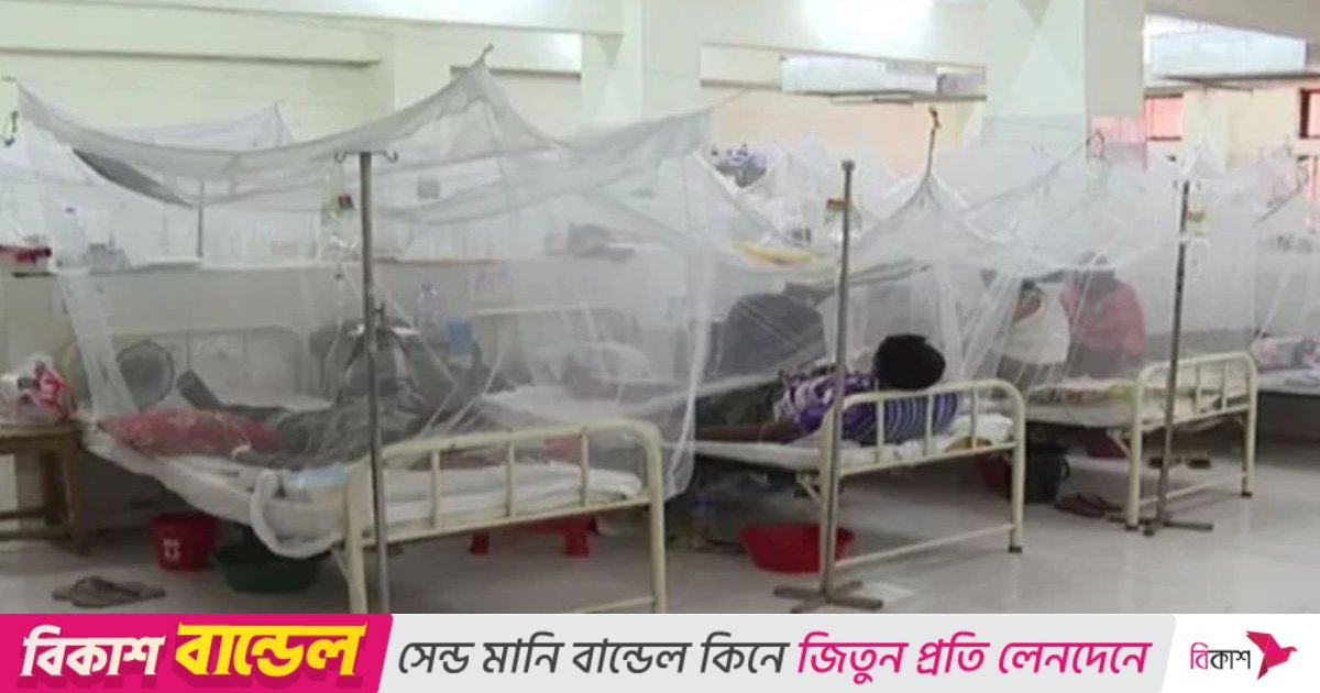 ডেঙ্গুতে আরও ৩ জনের মৃত্যু, হাসপাতালে ভর্তি ৫৯৩
