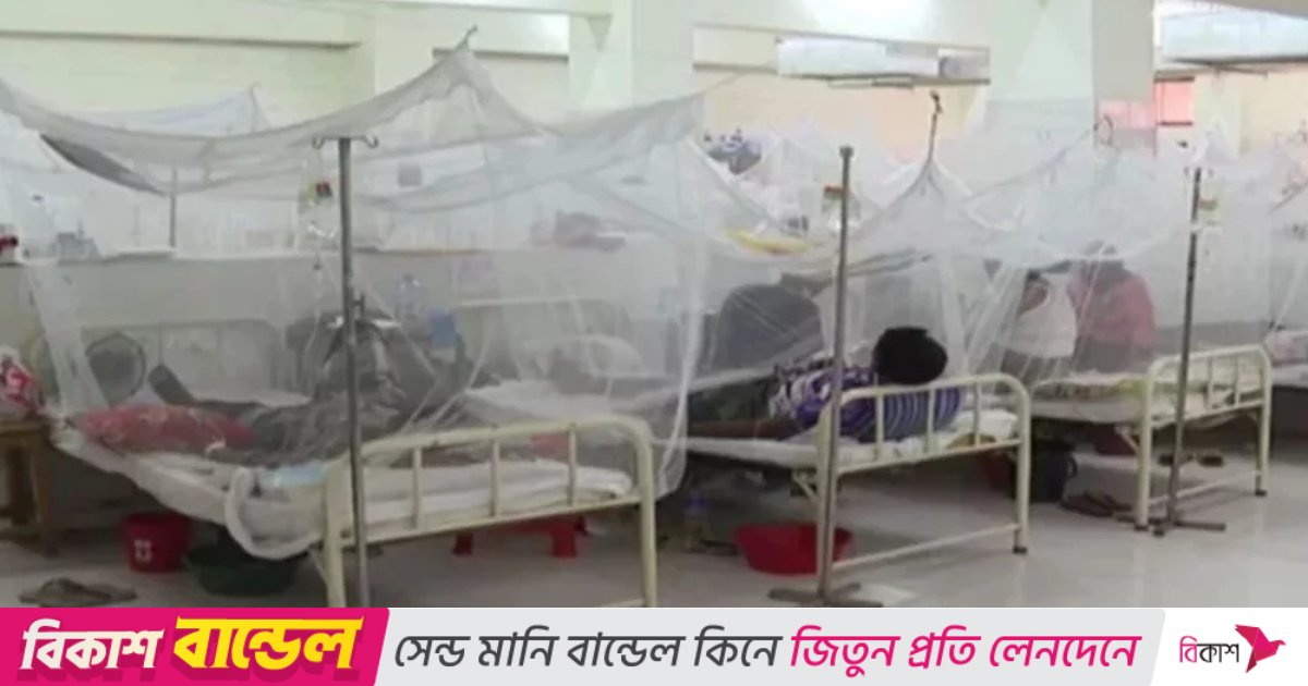 ২৪ ঘণ্টায় ডেঙ্গুতে মৃত্যুশূন্য, হাসপাতালে ভর্তি ৪৮৬