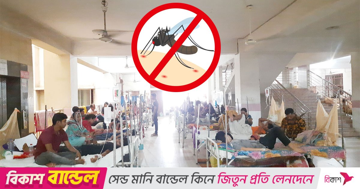 ডেঙ্গুতে আক্রান্ত-মৃত্যু দুটোই বাড়ছে