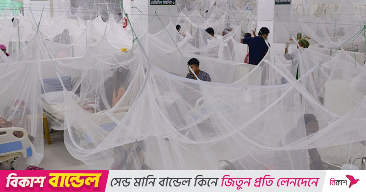 ডেঙ্গুতে আরও ২ জনের মৃত্যু, হাসপাতালে ভর্তি ৭০৫ জন