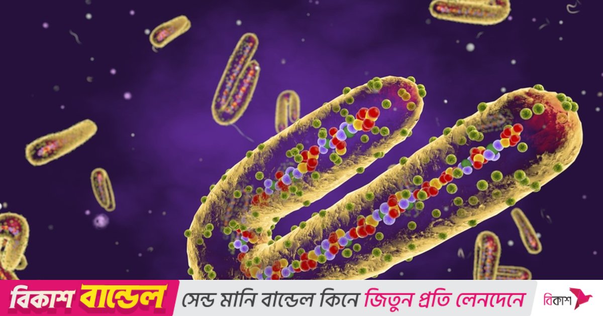 ইথিওপিয়ায় প্রথমবারের মতো মারাত্মক ‘মারবার্গ’ ভাইরাসের প্রাদুর্ভাব