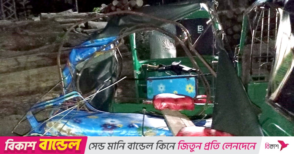 রাঙ্গামাটিতে অটোরিকশায় বন্যহাতির আক্রমণ, নিহত ২