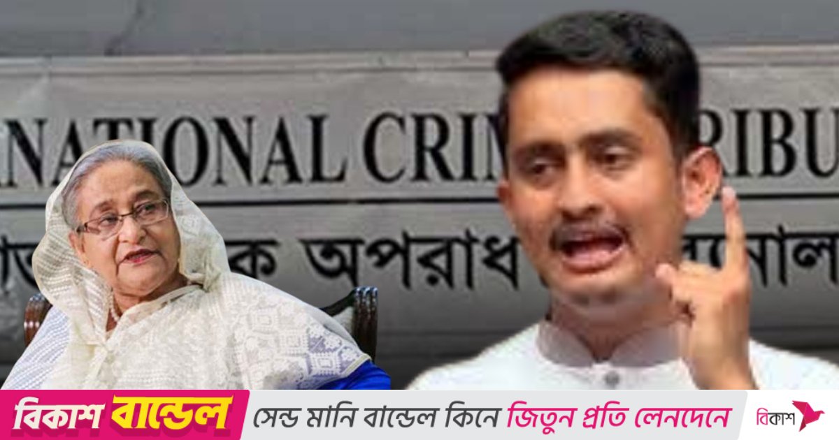 হাসিনাকে ফেরত দেওয়া না পর্যন্ত ভারতের সঙ্গে সম্পর্ক স্বাভাবিক হবে না: সারজিস আলম