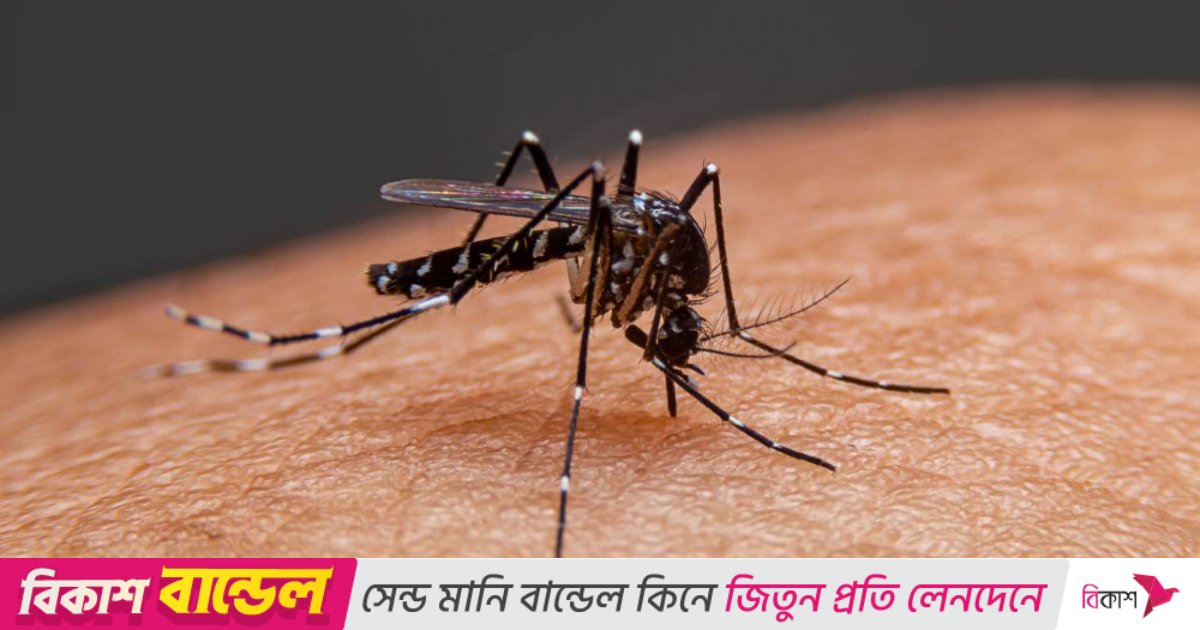 ডেঙ্গুতে প্রাণ গেল আরও ৬ জনের