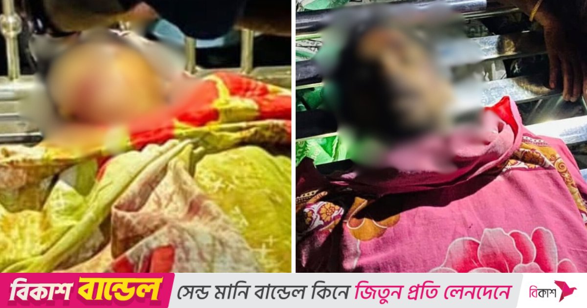 রাজৈরে মোটরসাইকেল–নসিমন সংঘর্ষে দুই বন্ধু নিহত