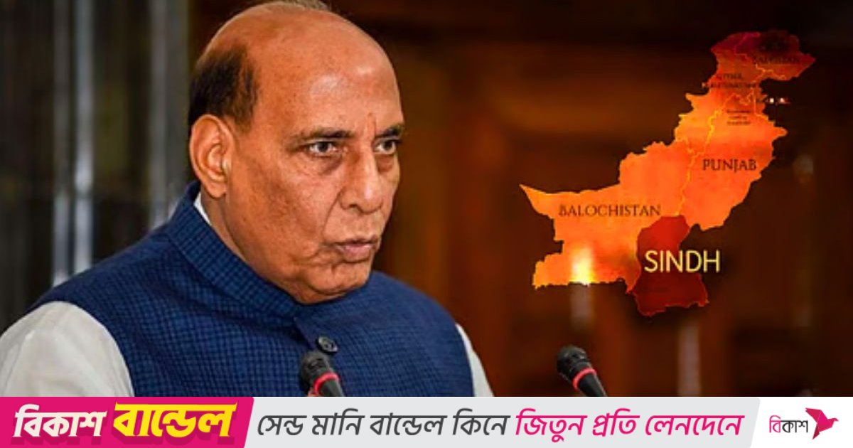 সিন্ধু নিয়ে ভারতের বক্তব্য ‘আঞ্চলিক স্থিতিশীলতার জন্য হুমকি’: পাকিস্তান