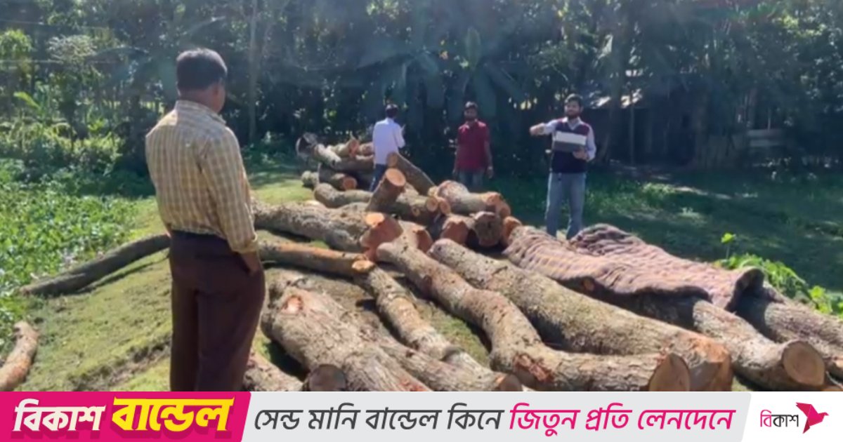 নেত্রকোনায় সরকারি গাছ কাটায় বিএনপি নেতার বিরুদ্ধে মামলা