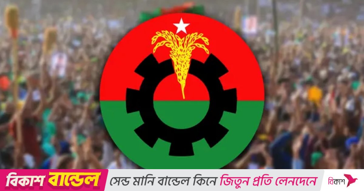 আওয়ামী লীগ ‘পুনর্বাসনে’ ধানের শীষের প্রার্থী, বিএনপির দুই শতাধিক নেতার পদত্যাগ