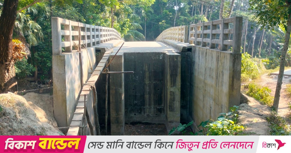 আড়াই কোটি টাকার সেতুতে উঠতে হয় মই দিয়ে, দুর্ভোগে হাজারো মানুষ