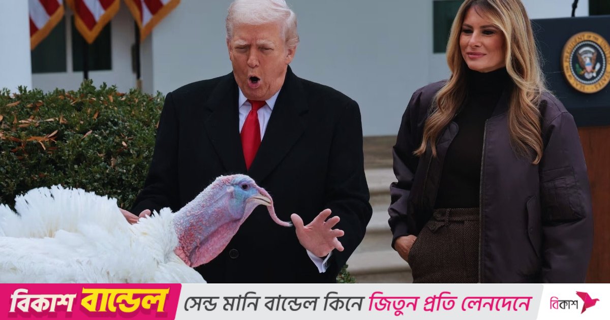 দুই টার্কি মুরগিকে আনুষ্ঠানিকভাবে ‘ক্ষমা’ করলেন ট্রাম্প