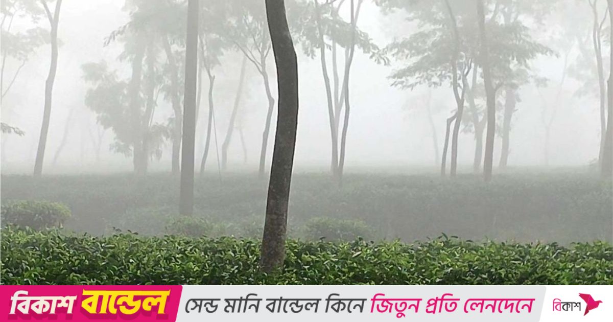 মৌসুমের সর্বনিম্ন তাপমাত্রা রেকর্ড শ্রীমঙ্গলে