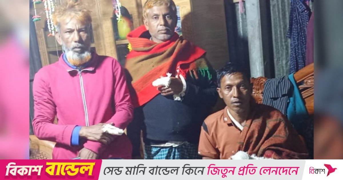 কৃষকের গরু-ছাগল নিয়ে গেল ডাকাত দল, ছুরিকাঘাতে আহত ৪