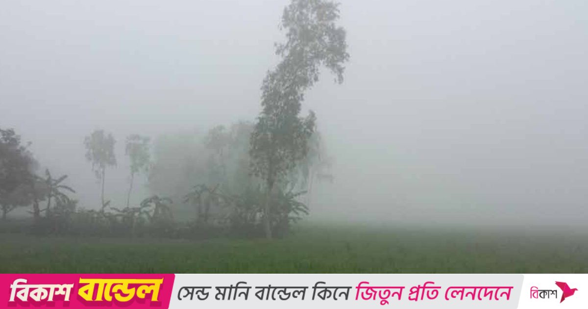 তেঁতুলিয়ায় তাপমাত্রা নেমেছে ১৩.২ ডিগ্রি সেলসিয়াসে