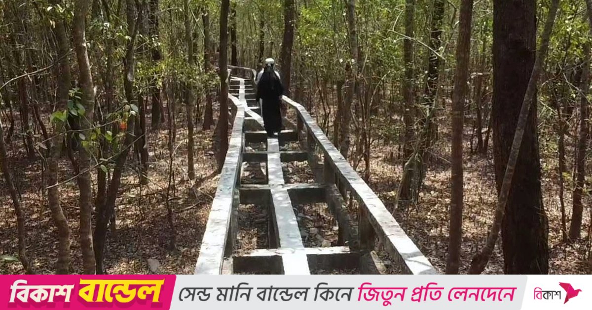 জৌলুস হারাচ্ছে পাথরঘাটার হরিণঘাটা পর্যটন কেন্দ্র