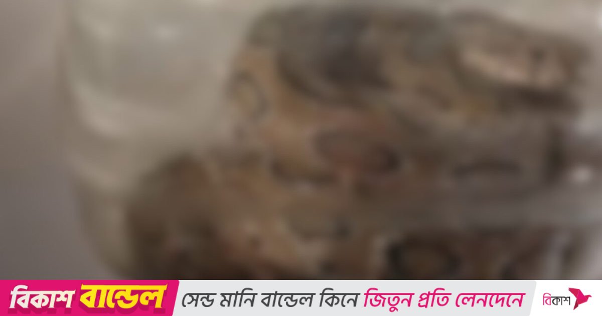 ছোবল খেয়ে জীবিত রাসেল ভাইপার নিয়ে হাসপাতালে কৃষক