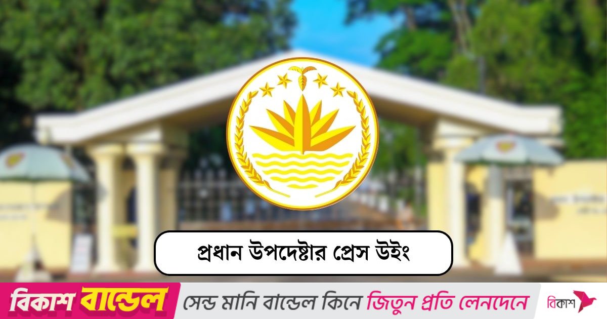 মিসইনফরমেশন ছাড়া অন্য কোনো সমালোচনামূলক কনটেন্ট সরাতে বলা হয়নি: প্রেস উইং