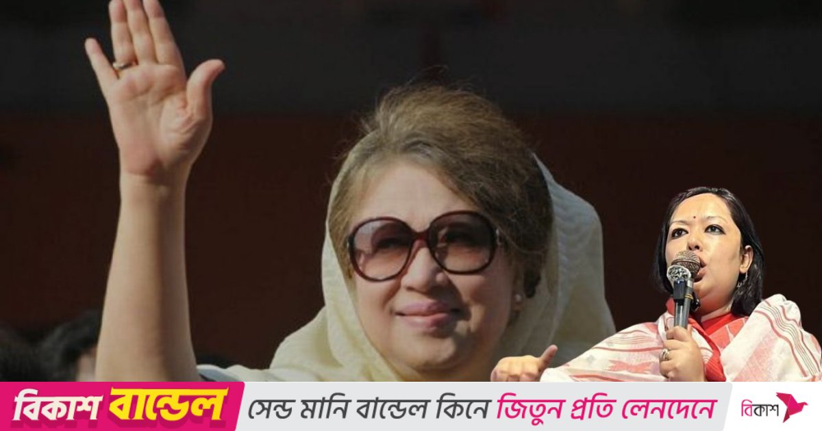 খালেদা জিয়ার অসুস্থতার জন্য হাসিনাকে জবাবদিহি করতে হবে : রুমিন ফারহানা