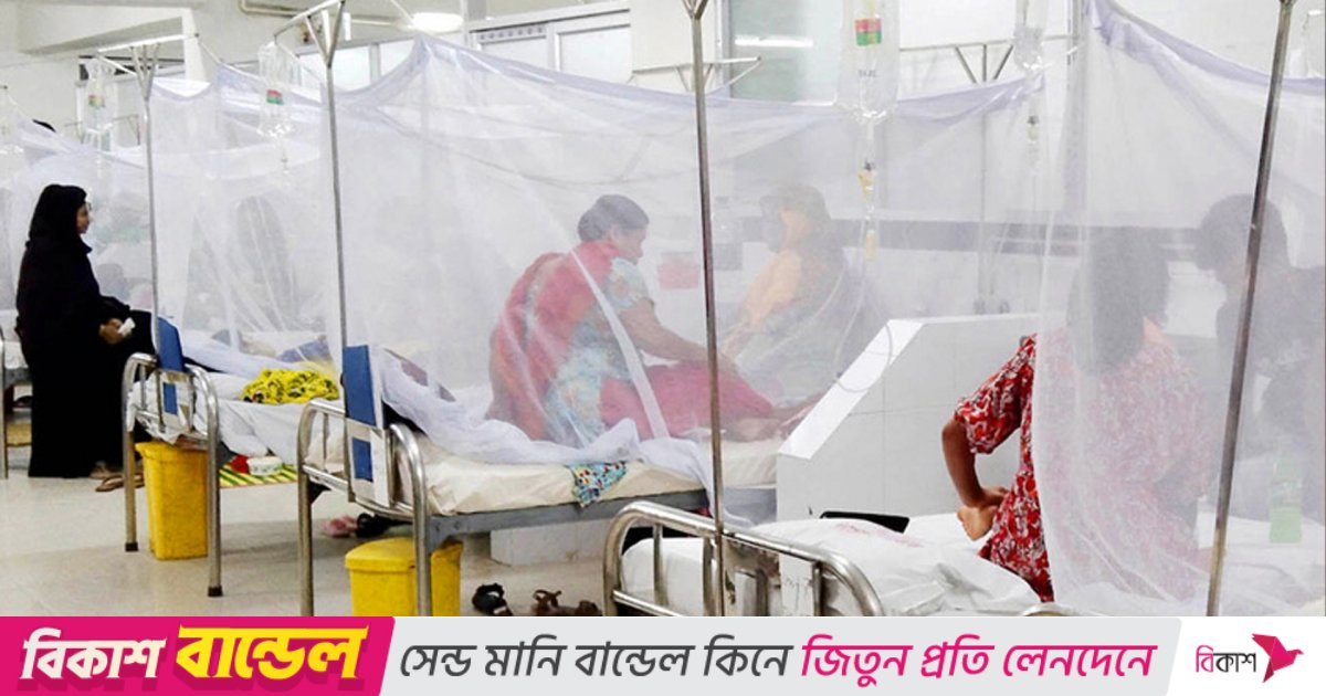 ডেঙ্গুতে আরও ২ জনের মৃত্যু