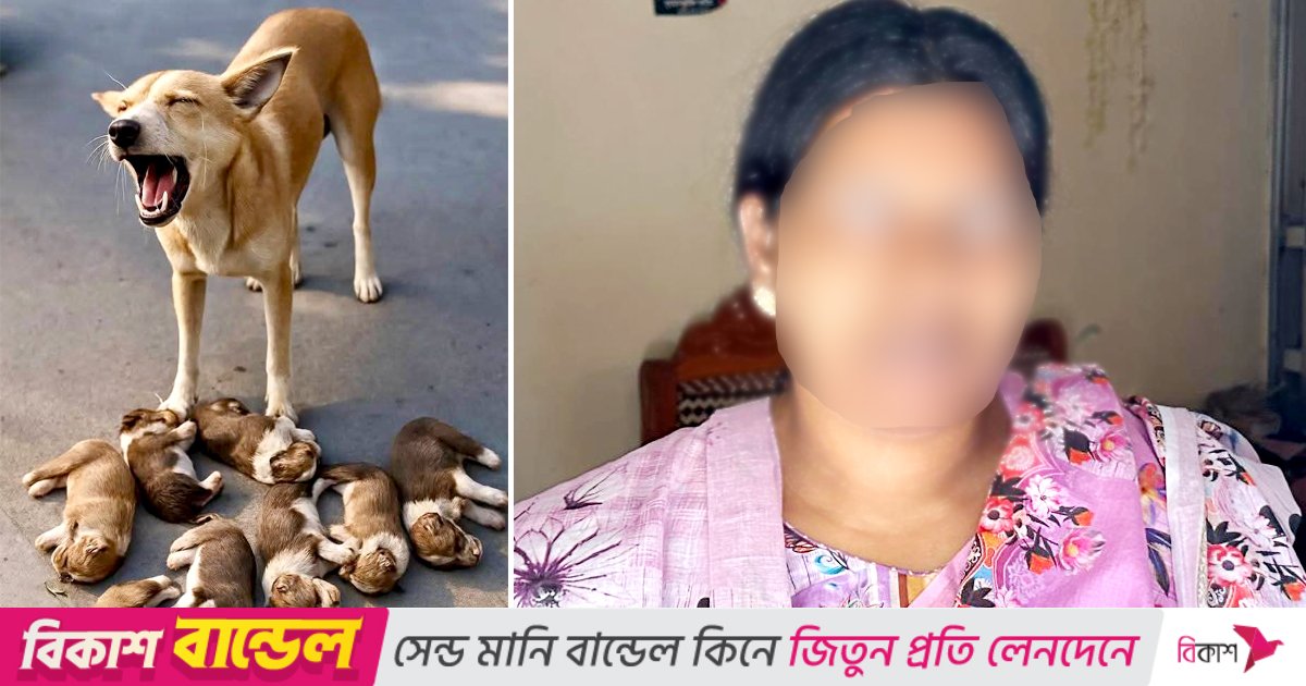 ঈশ্বরদীতে আট কুকুরছানা হত্যার ঘটনায় মামলা দায়ের 