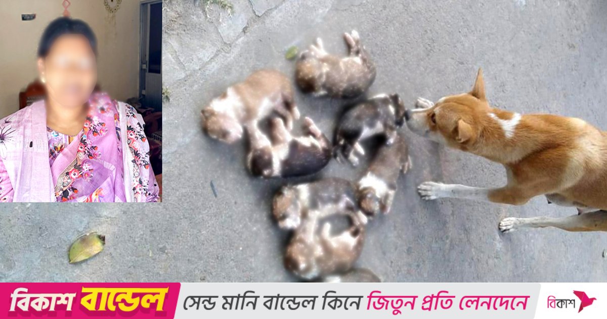 পানিতে ডুবিয়ে ৮ কুকুরছানা হত্যার অভিযোগে নিশি খাতুন গ্রেপ্তার