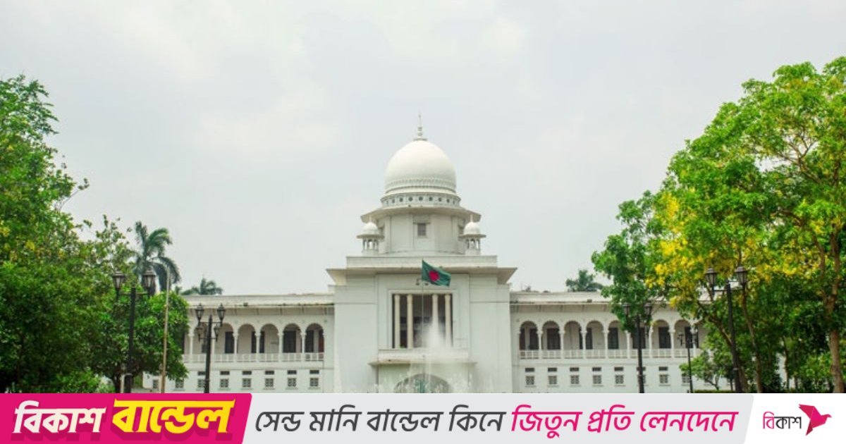 অন্তর্বর্তী সরকারের শপথ বৈধ: আপিল বিভাগ