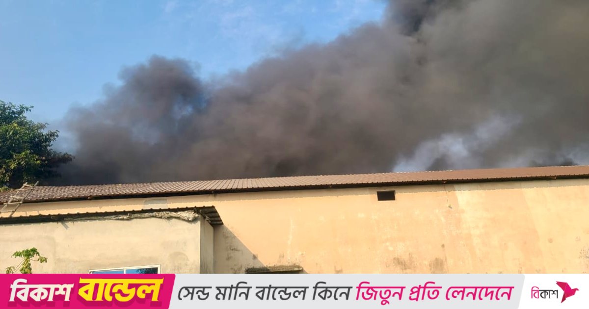 ঈশ্বরদীতে অয়েল মিল কারখানায় আগুন