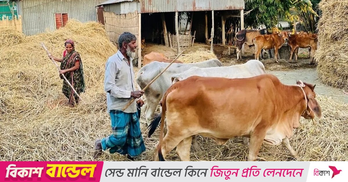 আধুনিকতার ছোঁয়ায় হারিয়ে যাচ্ছে নবান্ন উৎসব