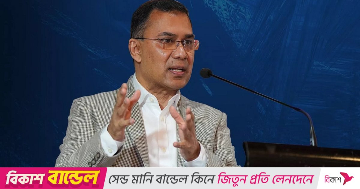 এখনও ‘ট্রাভেল পাস’ চাননি তারেক রহমান: পররাষ্ট্র উপদেষ্টা