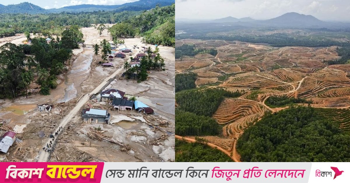 সুমাত্রা দ্বীপে বন্যায় মৃতের সংখ্যা বেড়ে ৮৪৬, বন উজাড়ের ফলেই দুর্যোগ?