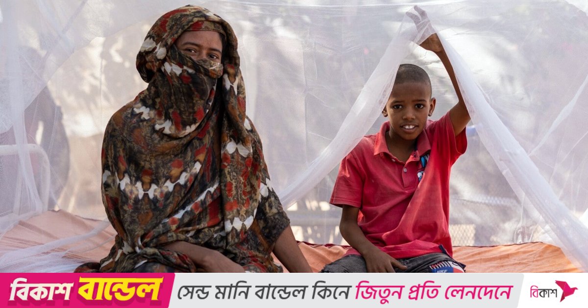 এক বছরে ম্যালেরিয়ায় বিশ্বব্যাপী ৬ লাখ ১০ হাজার মানুষের মৃত্যু: ডব্লিউএইচও