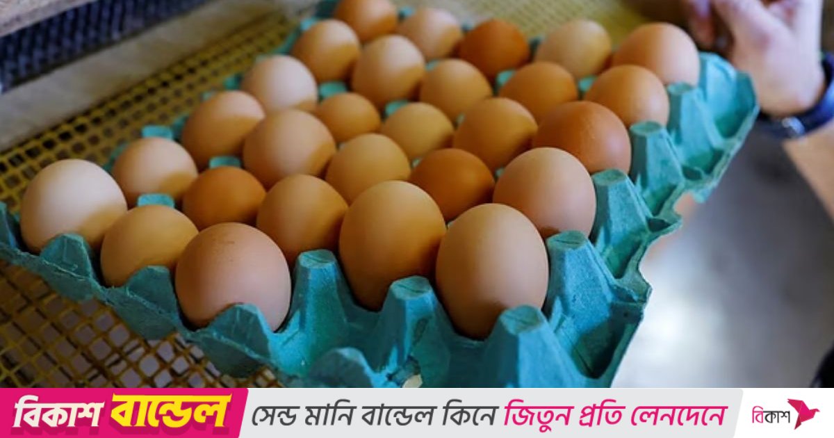 ডিমের ক্রেট উন্মোচন করলো ২৪ বছর আগে পাওয়া অজ্ঞাত লাশের রহস্য