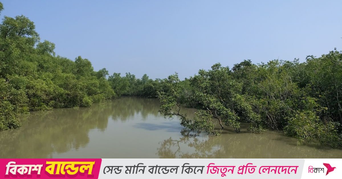 জলদস্যু ‘ডন বাহিনী’ পরিচয়ে সুন্দরবনে থেকে ৭ জেলে অপহরণ, মুক্তিপণ দাবি