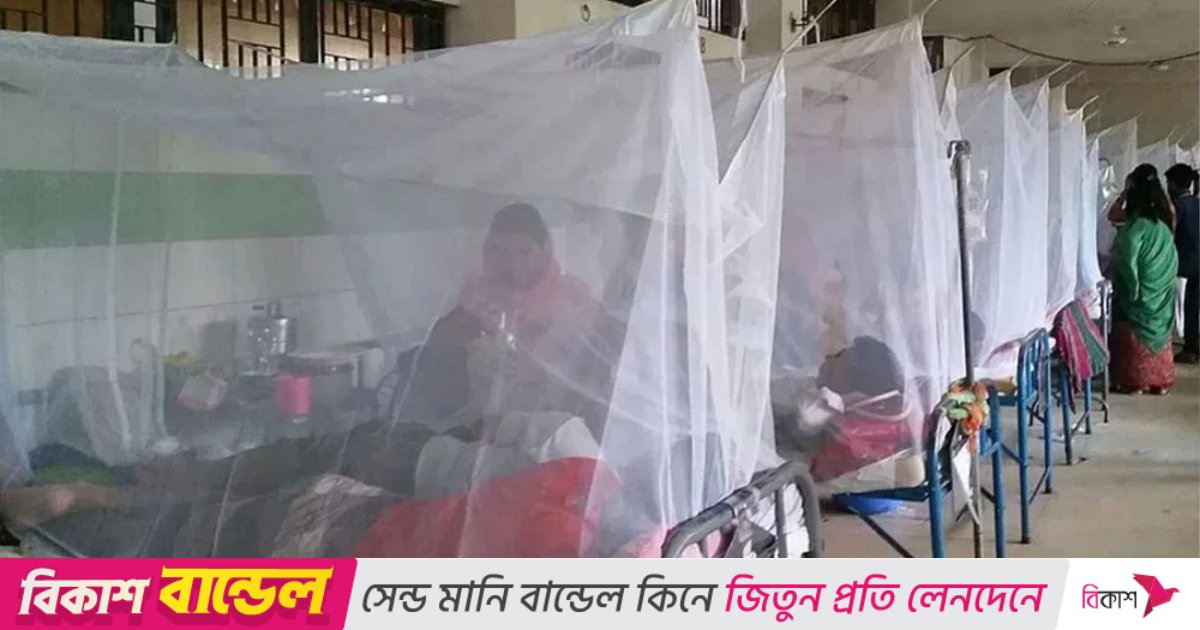 ডেঙ্গুতে আরও ২ জনের মৃত্যু, হাসপাতালে ভর্তি ৪৫৫