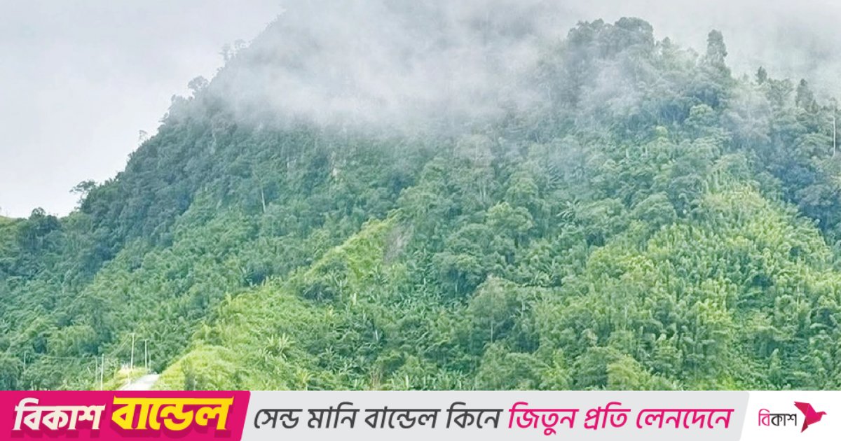 উঁচুনিচু পাহাড়ি বাঁকে রোমাঞ্চ ছড়ায় ডিমপাহাড়