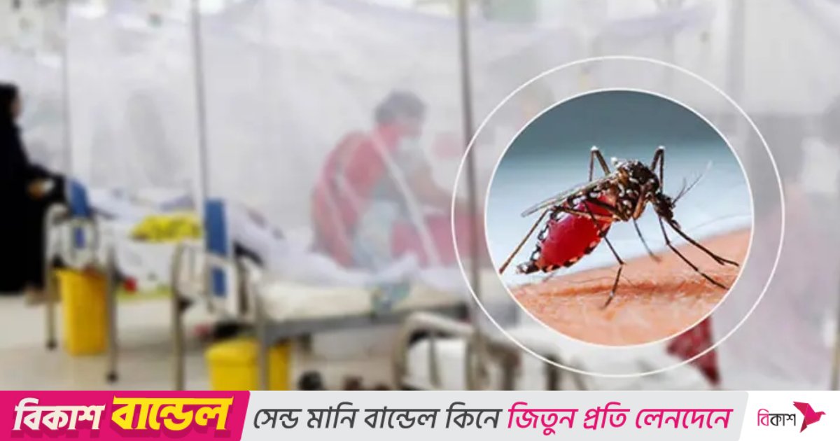 দেশে ডেঙ্গুতে মৃত্যু ৪০০ ছাড়াল