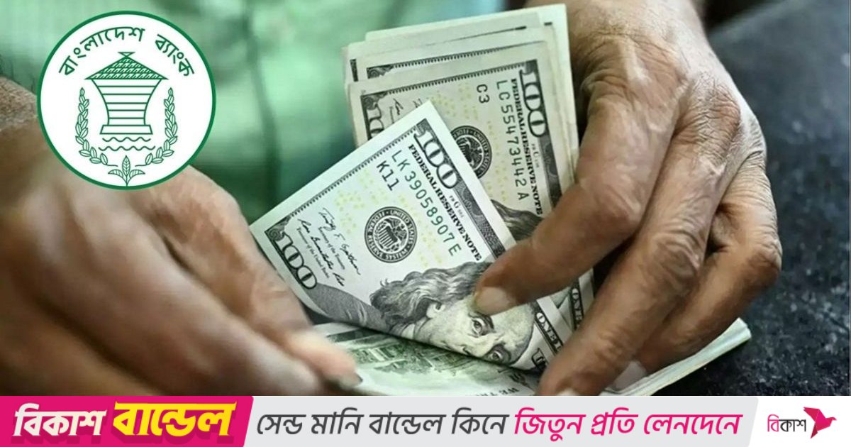 ১৩ ব্যাংক থেকে ২০ কোটি ২০ লাখ ডলার কিনল বাংলাদেশ ব্যাংক
