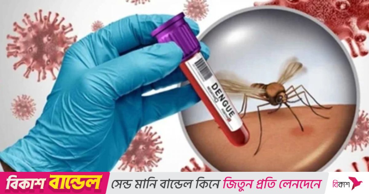 চলতি বছর ডেঙ্গুতে মৃত্যু ৪০০ ছাড়ালো