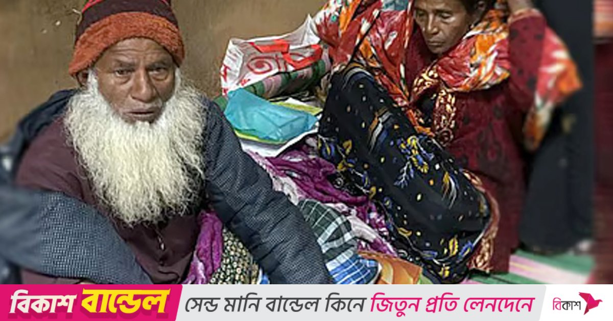 সাপ কামড়ানোর পর জীবিত রাসেলস ভাইপার নিয়ে হাসপাতালে হাজির কৃষক