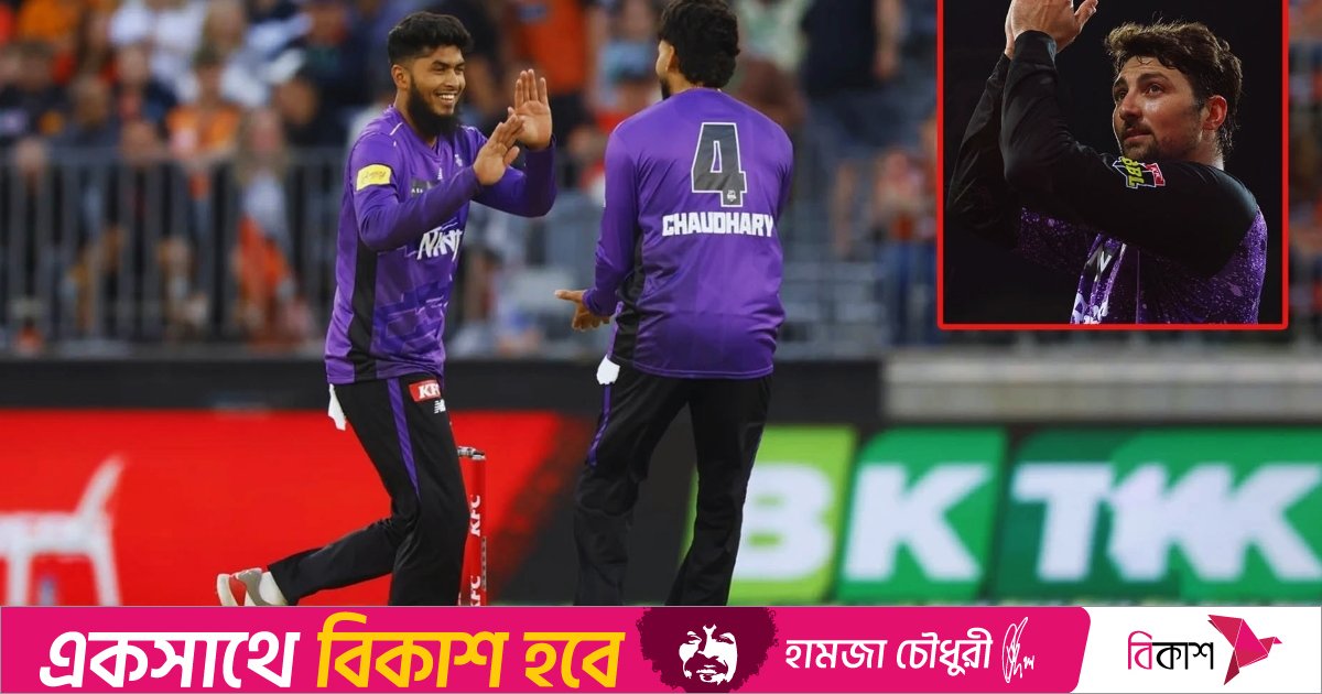 বিগ ব্যাশে রিশাদের ঘূর্ণি জাদুতে মুগ্ধ টিম ডেভিড