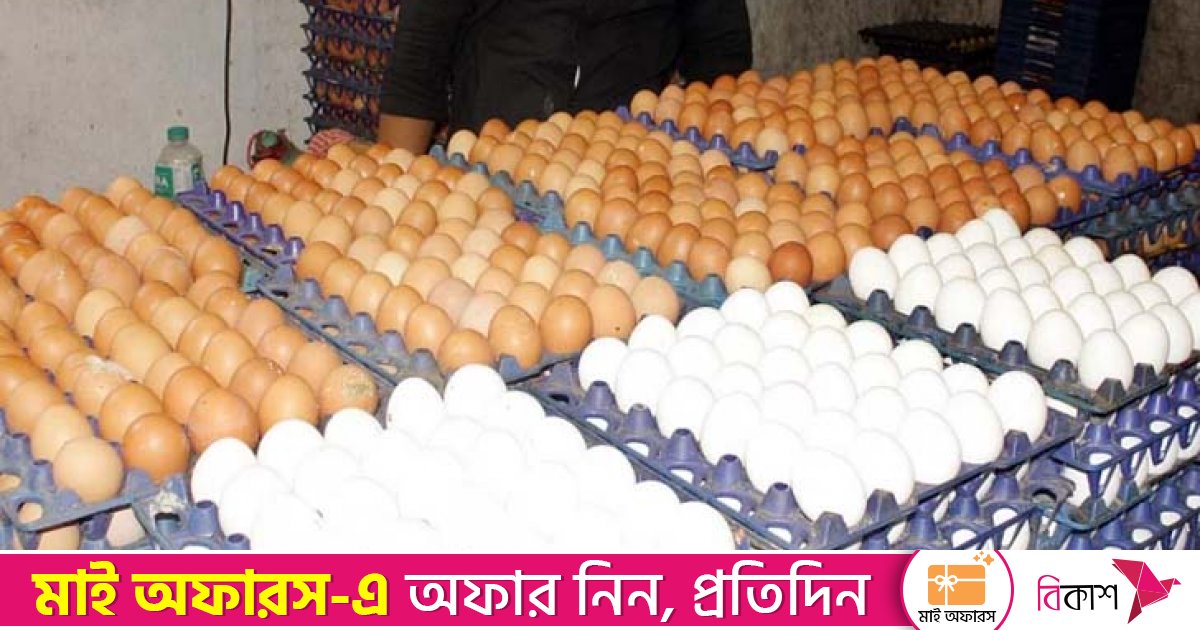 ডিমের দামে পতন, লোকসান বাড়ছে খামারিদের