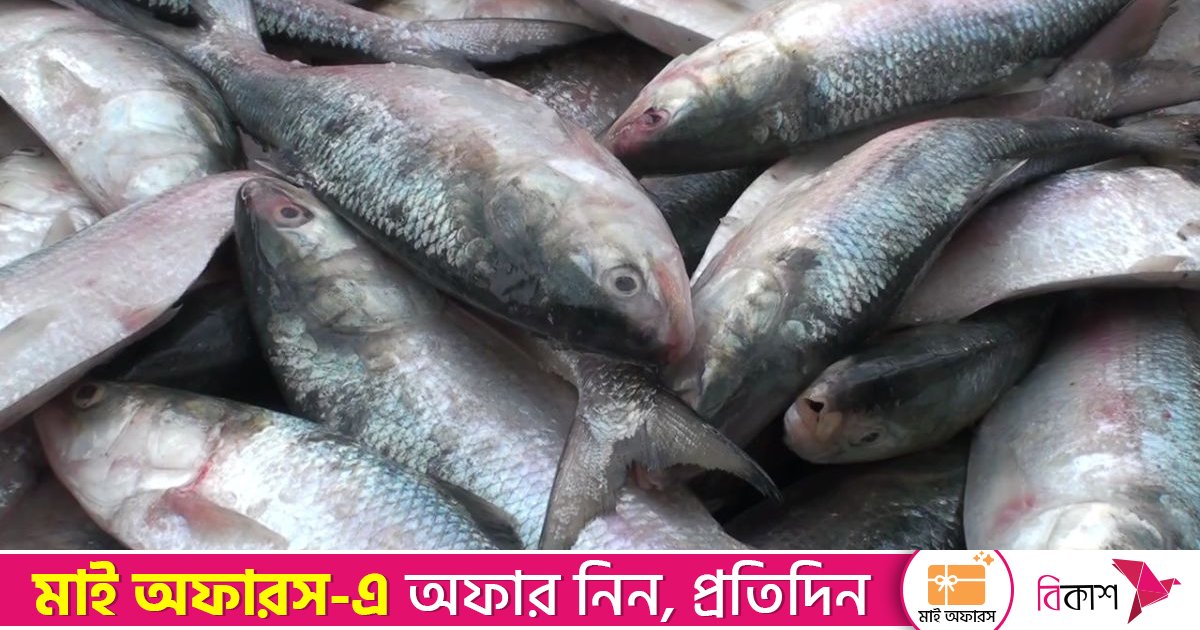 বরিশালে ইলিশের কেজি চার হাজার টাকা