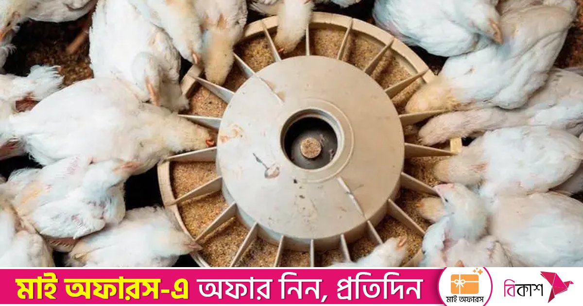 নগদ মূলধনবিহীন আত্মকর্মসংস্থানের নতুন সুযোগ