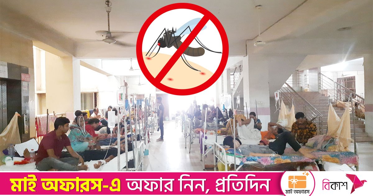 বছর জুড়ে ডেঙ্গুর প্রকোপ, শতকোটি টাকা ব্যয়েও কমেনি মশা
