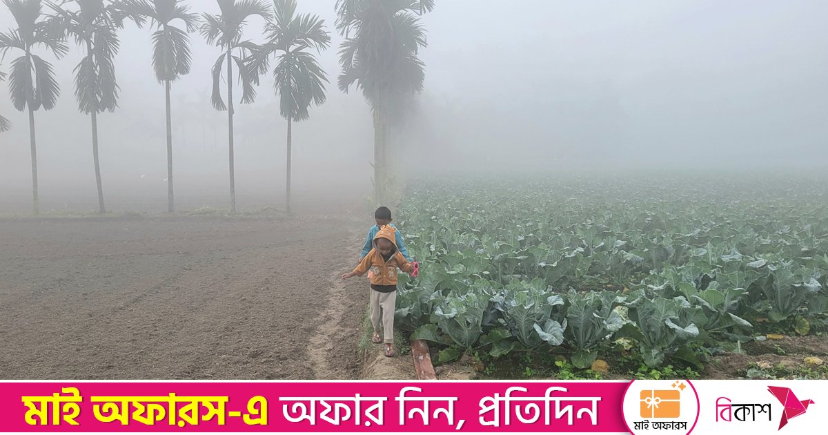 জানুয়ারিতে ৫ শৈত্যপ্রবাহ, কুয়াশা ও তীব্র শীতের আশঙ্কা