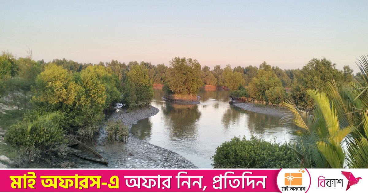 মিয়ানমার সীমান্তে গোলাগুলি-বিস্ফোরণ, টেকনাফে আতঙ্ক